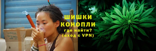 стаф Горнозаводск