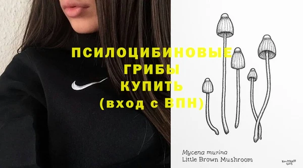 спиды Пролетарск