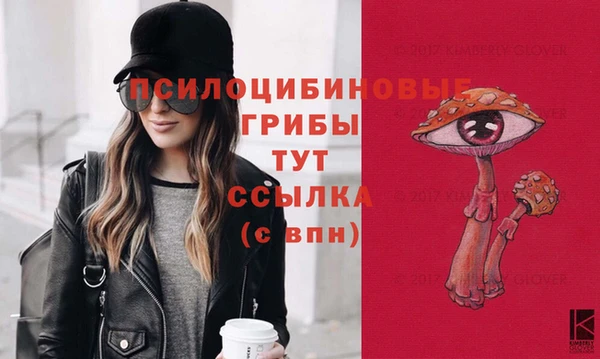 соль курить ск Горно-Алтайск