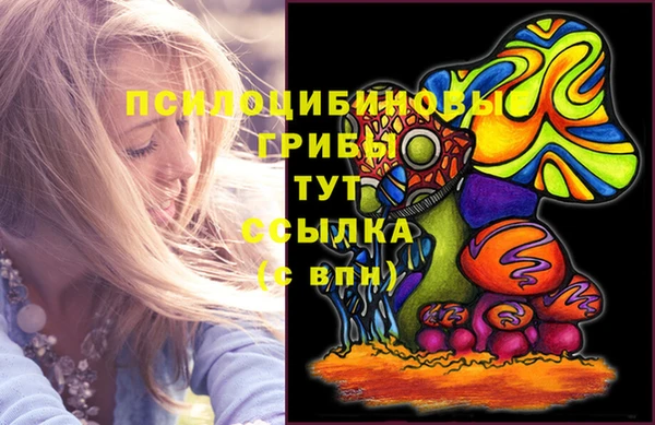 соль курить ск Горно-Алтайск