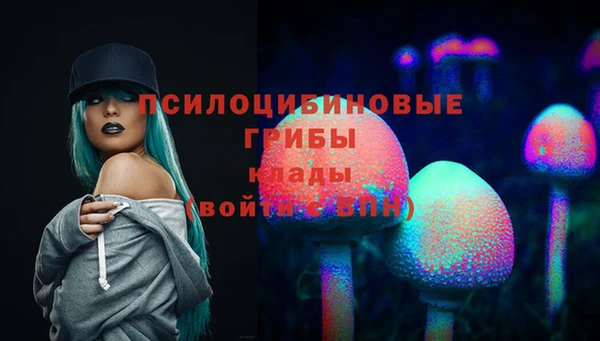 стаф Горнозаводск