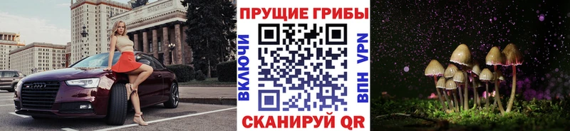 Псилоцибиновые грибы GOLDEN TEACHER  Якутск 